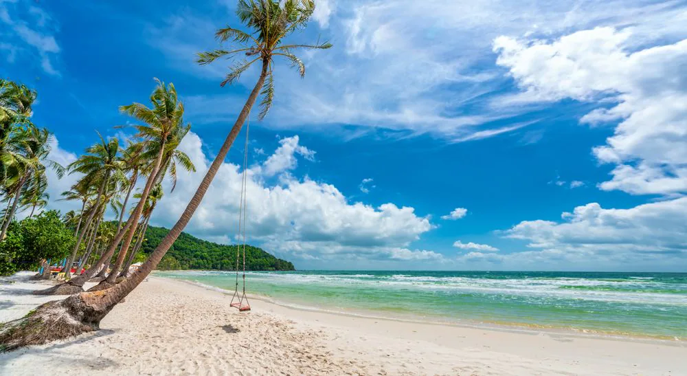 Palm trees and turquoise sea representing the final beach morning